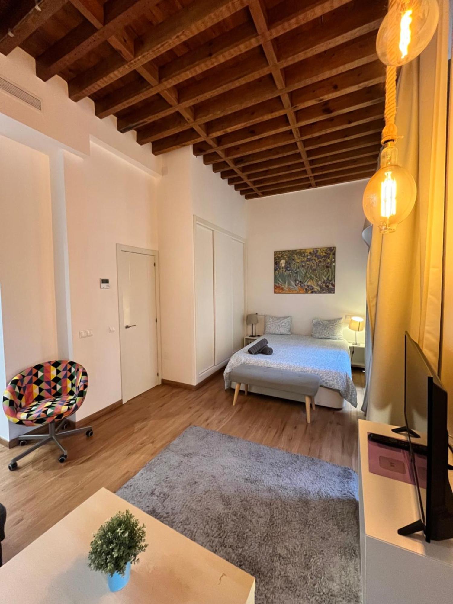 Boutique Larios - Center Apartamento *